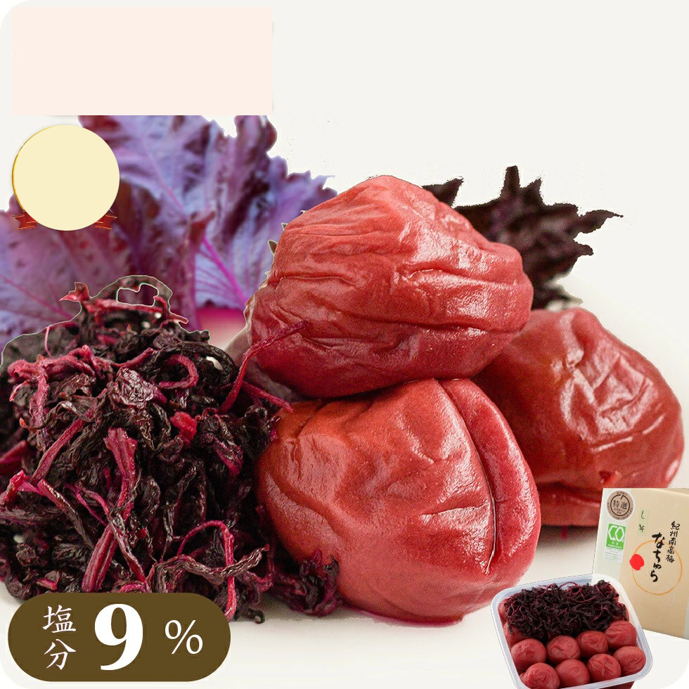 日本直邮 纪州南高梅梅干 自然梅盐分9% 紫苏腌制风味 300g