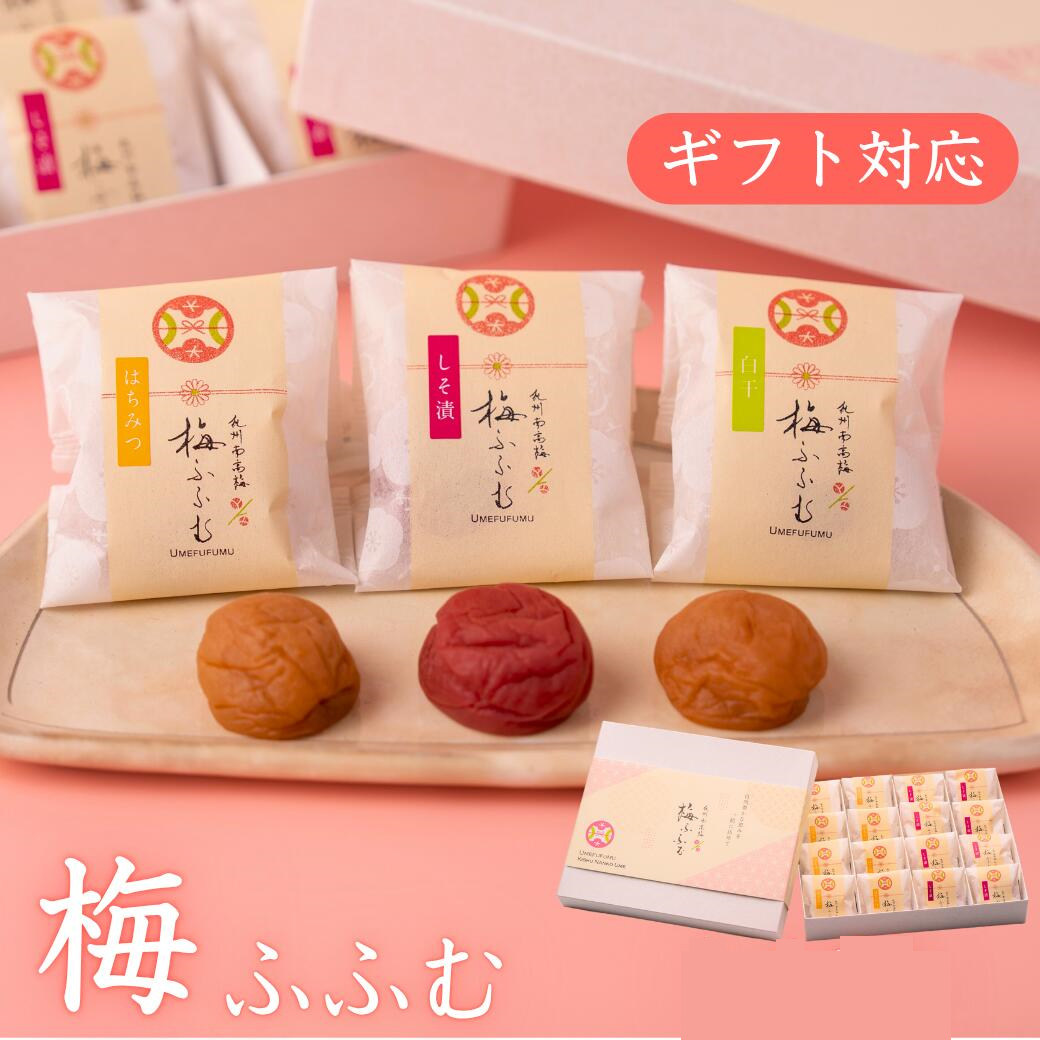 日本直邮 梅干纪州南高梅 礼品用 蜂蜜/紫苏梅/白梅口味可选 16枚