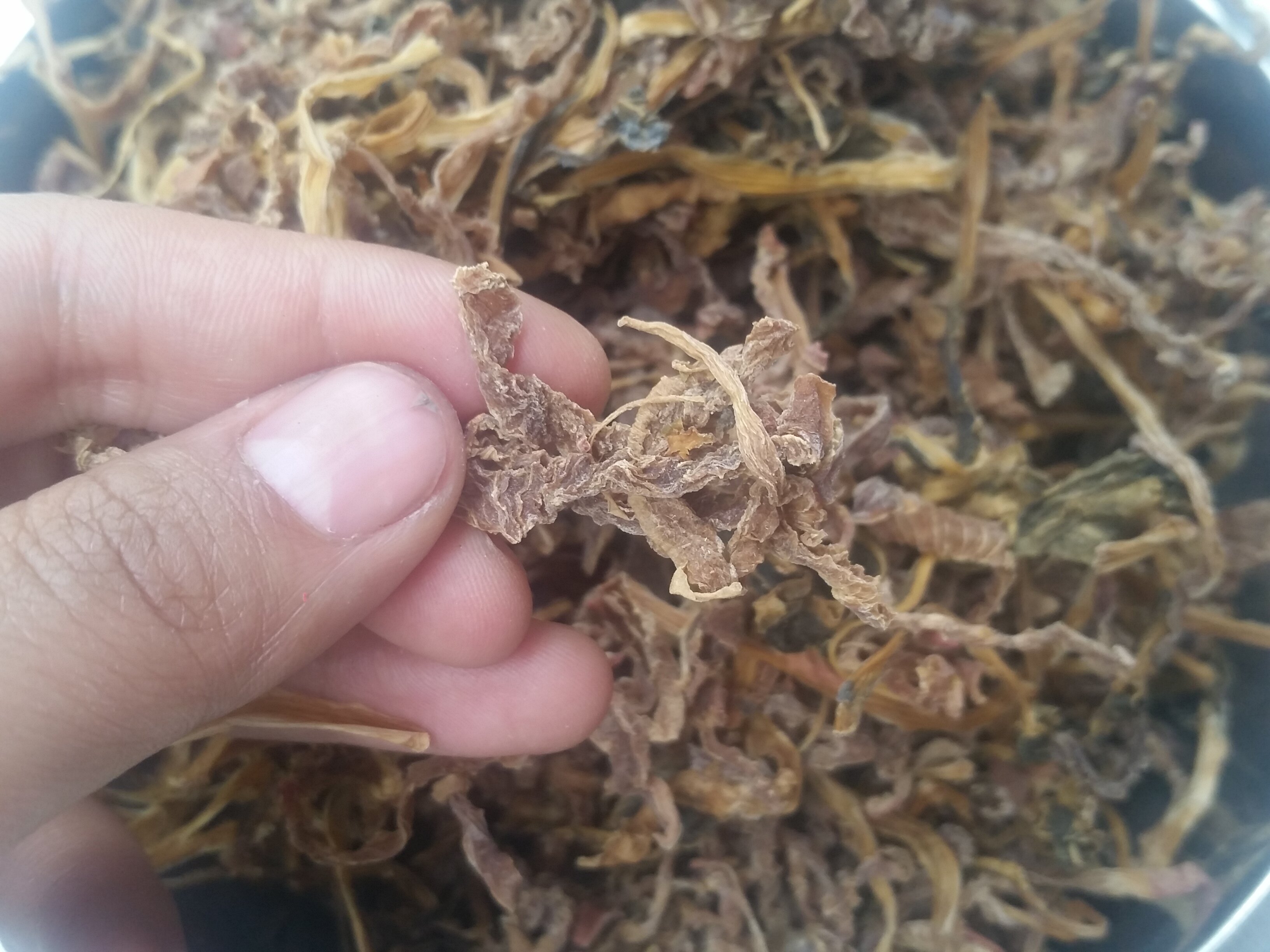 6月发货 大凉山会理土特产彝族圆根干酸菜农家传统自制250g包邮