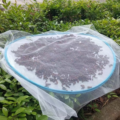 透气纱罩透明防虫网加密网纱布