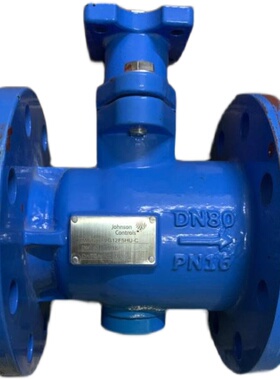 Johnsoncontrols江森VG12F5LX-C+VA9335-HGA-3电动二通球阀DN150