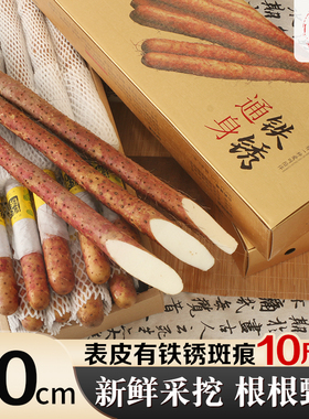 河南焦作特产正宗紫怀淮山铁棍山药礼盒装10斤温县农家自种新鲜
