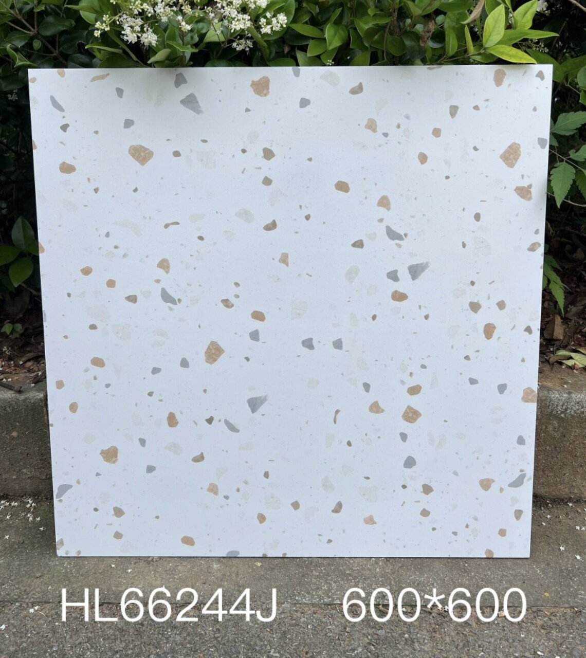 彩色水磨石瓷砖600x600客通体砖