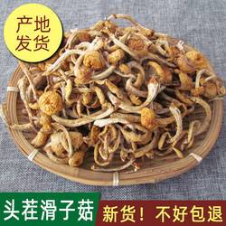 滑子菇干货东北大兴安岭特产滑子蘑小黄蘑黄油蘑包邮