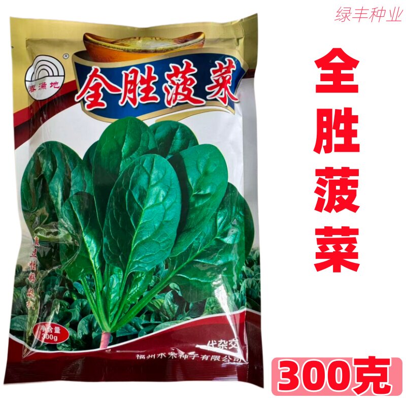全胜菠菜种子快大叶色油绿发亮直立性好耐低温好拔春秋冬菠菜种孑