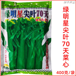 绿明星尖叶70天菜心种子基地专用亚明油青甜菜心春夏秋季蔬菜种孑