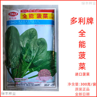 原包装 香港黄清河 种子300克 全能菠菜 进口丹麦菠菜种孑 多利牌