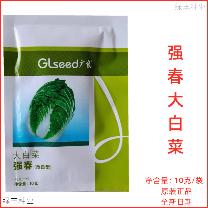 强春大白菜种子先正达出品反季节家庭园艺种子