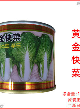 北京硕源黄金快菜种子生长快速抗热耐湿无毛春夏秋季苗用快菜种孑
