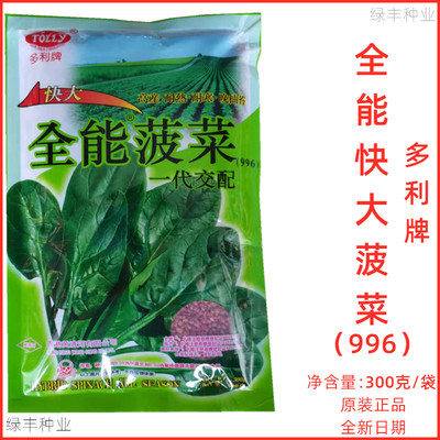 全能快大菠菜种子耐寒耐抽苔多利牌香港黄清河进口996蔬菜种孑