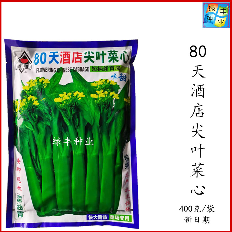 实诚尖叶80天菜心种子原装正品