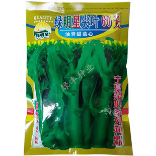 绿明星尖叶60天菜心种子基地专用亚明油青甜菜心春夏秋季蔬菜种孑