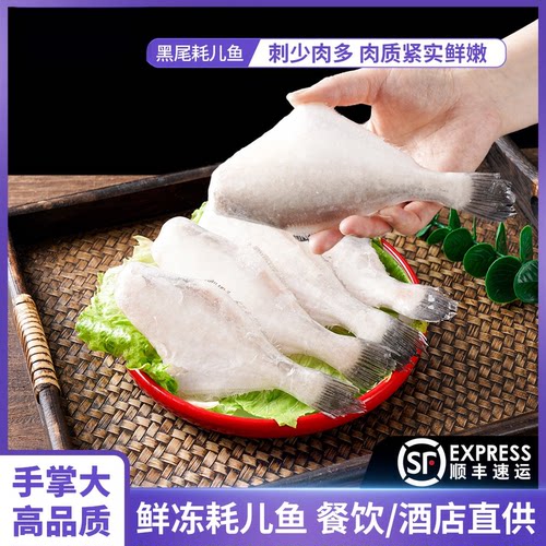 新鲜深海海捕精品耗儿鱼马面鱼火锅食材扒皮鱼剥皮鱼500/包顺丰发