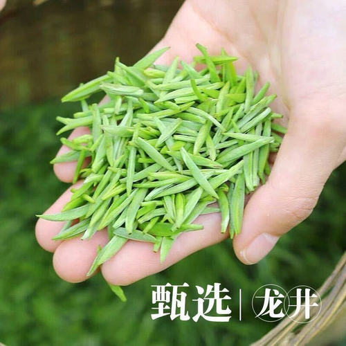 高档一芽一叶龙井2025新茶正宗明前豆香龙井绿茶春茶茶叶250g