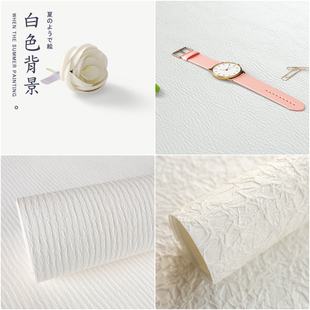 白色不反光拍照背景布 商业纯色pvc白底图摄影背景抠图用拍摄道具