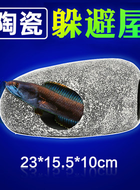 慈鲷鱼雷龙鱼繁殖多孔洞穴躲避屋