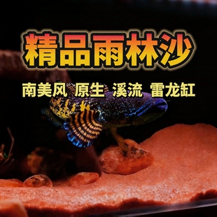 亚马逊底沙鱼缸底砂眼镜蛇雷龙鱼专用底沙免洗溪流生态造景原生缸