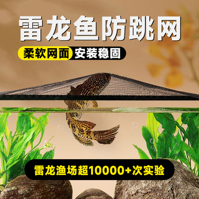 雷龙鱼防跳网火背眼镜蛇雷龙防跳缸柔软网罩磁吸网盖定制雷龙防跳