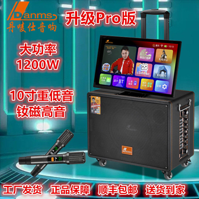 丹唛仕920Pro户外K歌直播音响图片