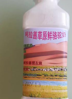 内蒙古阿拉善生鲜驼奶营养