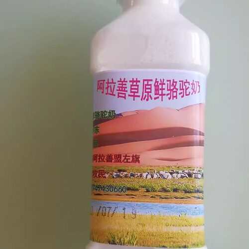 内蒙古阿拉善生鲜驼奶营养