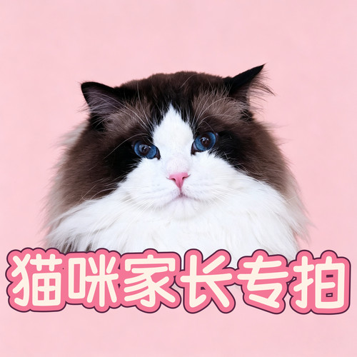 猫舍自用猫条羊奶棒冻干  家长粉丝专拍满2件包邮
