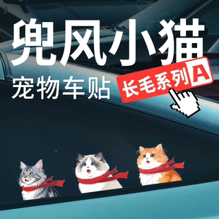 无尾鱼原创长毛小猫汽车贴纸创意车窗车尾玻璃治愈可爱萌宠物车贴