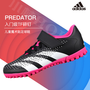 ADIDAS阿迪达斯猎鹰入门级TF碎钉人草儿童魔术贴足球鞋GW7083