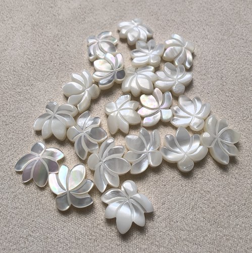 深海蝶贝13*15mm莲花15mm20mm梨花白蝶贝diy天然贝壳手工材料配件