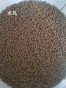 中药材加工水泛丸水蜜丸大蜜丸水丸浓缩丸水丸纯中药丸剂来料加工