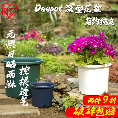 爱丽思Deepot深型高筒花盆月季铁线莲专用树脂爱丽丝塑料彩色大盆
