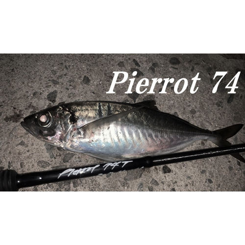 26新款 TRUTH 路亚竿 小根竿 日产 Pierrot74 TUBE Model