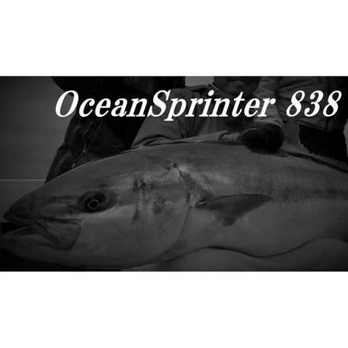 26新款 TRUTH 船用波爬竿 大物竿 日产 OceanSprinter 838