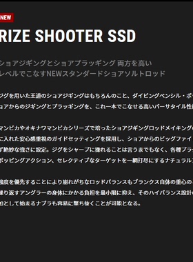 TAILWALK22新款RIZE SHOOTER SSD岸抛铁板竿