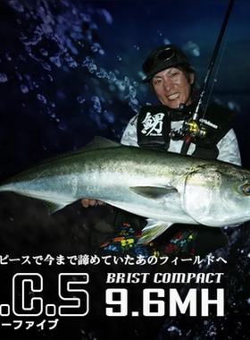 25新款 FISHMAN岸投铁板竿枪柄 多节竿 日产 BC5 9.6MH
