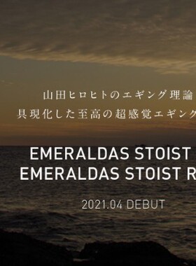DAIWA/达亿瓦 EMERALDAS STOIST RT IL 鱿鱼竿