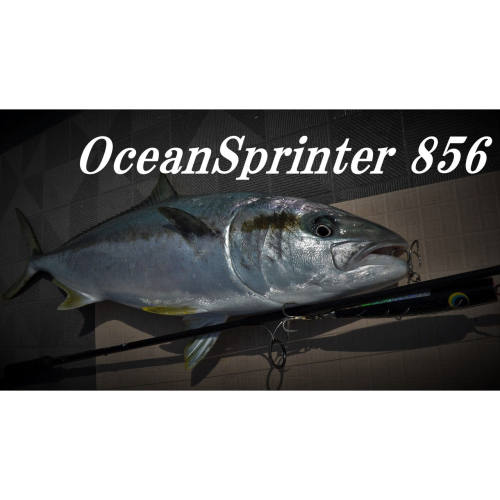 26新款 TRUTH 船用波爬竿 日产 OceanSprinter 856