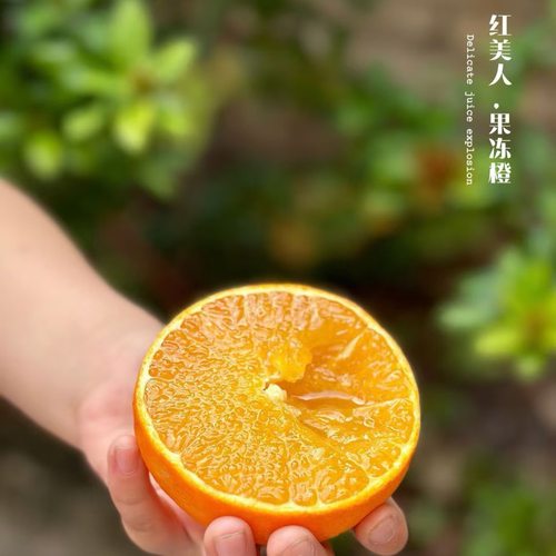 正宗象山红美人 橙子  果冻橙 顺丰直发