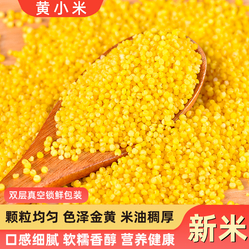 新货米香油厚黄小米新米农家自种食用粘糯米粗粮杂粮黄金小米粥