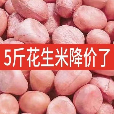 25年新货新鲜去壳生花生米精选大粒粉红花生米花生仁商用榨油批发