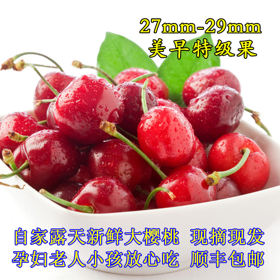 6月上旬烟台福山美早大樱桃车厘子大型果现摘现发包邮孕妇无农药