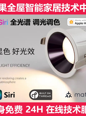 雷士照明Matter thread智能调光调色筒灯苹果HomeKit直连接入绿米