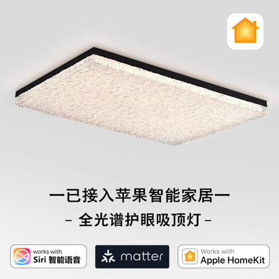 苹果Homekit客厅吸顶灯主灯轻奢