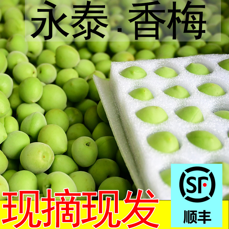 多顺亿青梅果新鲜梅子香梅福建野生酸梅现摘泡酒酵素脆梅5斤精装