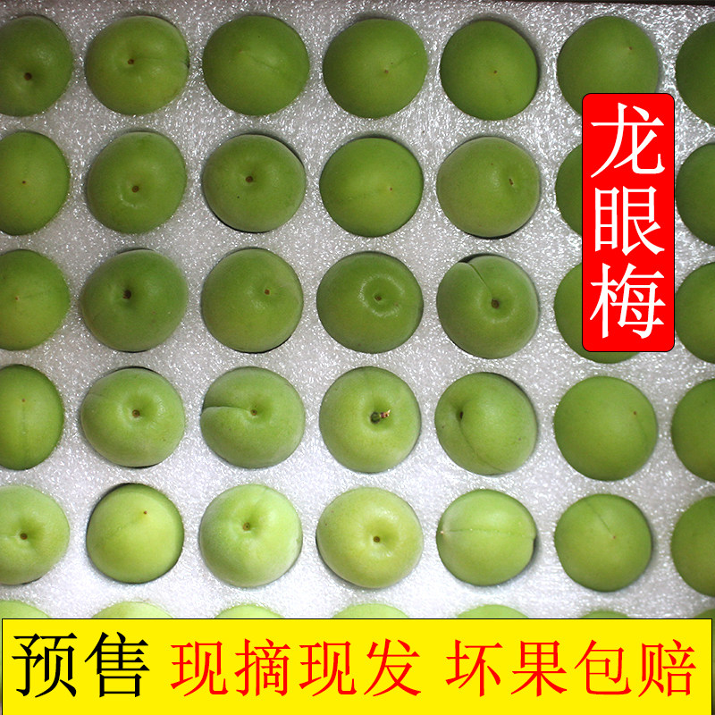 多顺亿青梅龙眼梅福建永泰梅子新鲜梅子鲜果酸梅子青梅泡酒做酵素