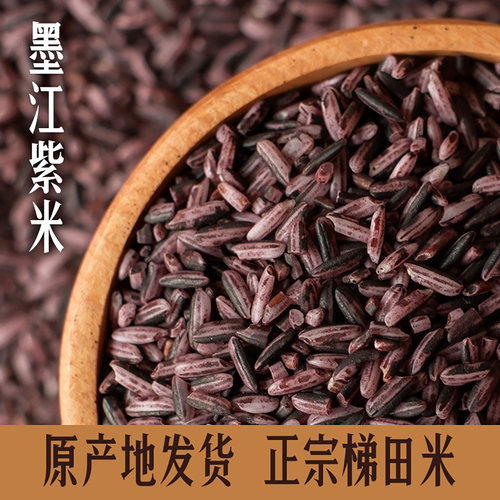 哈尼梯田老品种墨江紫米云南特产