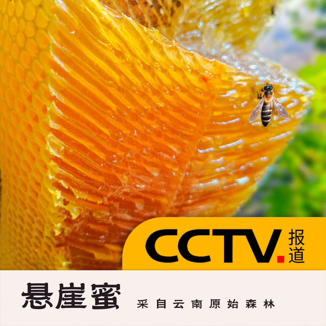云南崖蜜野生岩蜂蜜深山悬崖纯正宗天然百花蜜土蜂蜜高山 真正品