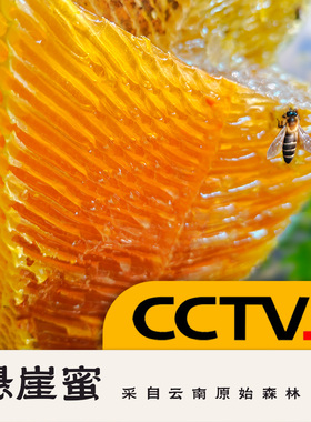 云南崖蜜野生岩蜂蜜深山悬崖纯正宗天然百花蜜土蜂蜜高山 真正品