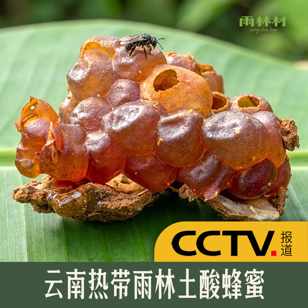 云南野生土酸蜂蜜原始森林纯正天然地下酸蜂蜜无刺蜂老巢蜜药花蜜