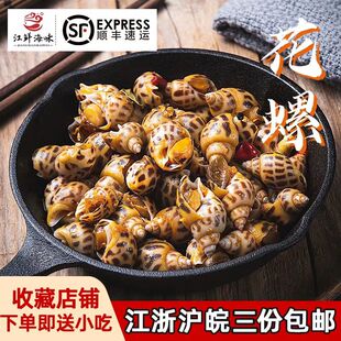 香辣麻辣花螺东风螺熟食螺肉无沙花螺即食休闲食品小海鲜美食罐装